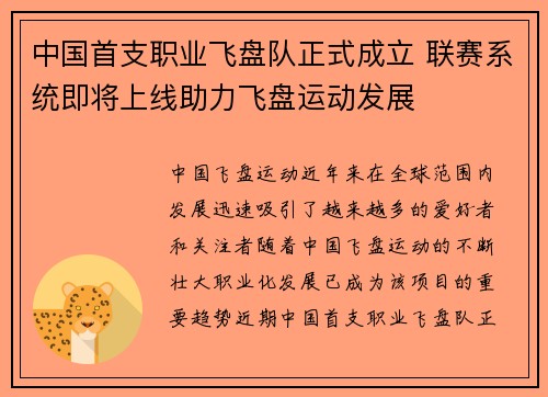 中国首支职业飞盘队正式成立 联赛系统即将上线助力飞盘运动发展